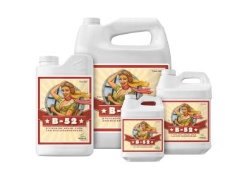 Φωτογραφία από ADVANCED NUTRIENTS - B-52